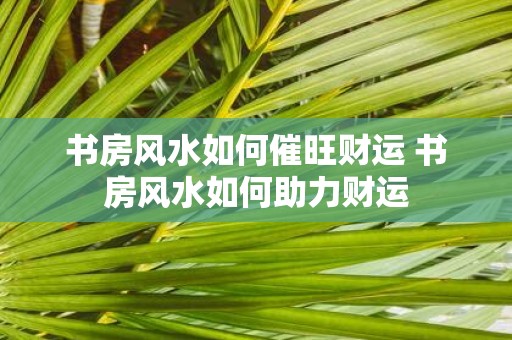 书房风水如何催旺财运 书房风水如何助力财运