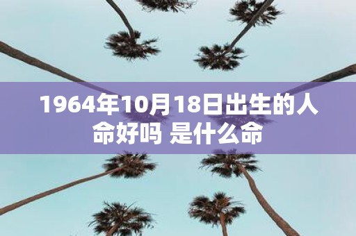 1964年10月18日出生的人命好吗 是什么命
