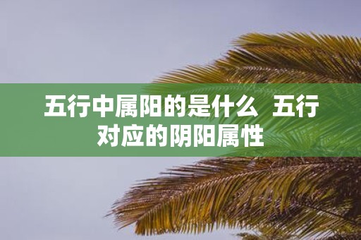 五行中属阳的是什么 五行对应的阴阳属性