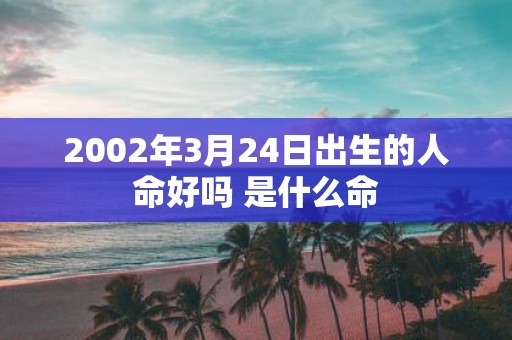 2002年3月24日出生的人命好吗 是什么命