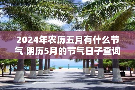 2025年农历五月有什么节气 阴历5月的节气日子查询