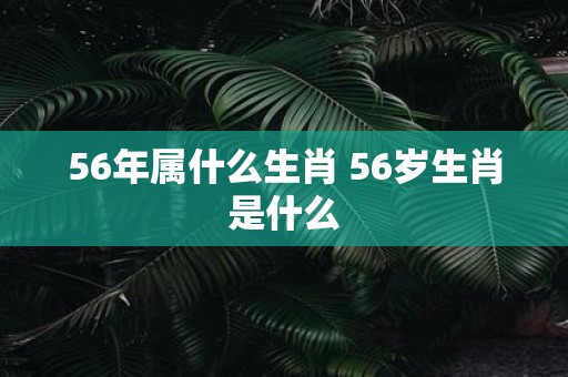 56年属什么生肖 56岁生肖是什么