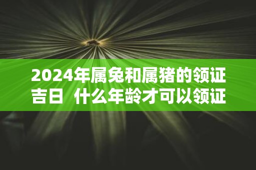 2025年属兔和属猪的领证吉日 什么年龄才可以领证
