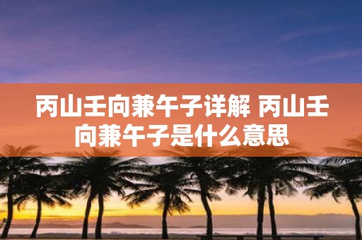 丙山壬向兼午子详解 丙山壬向兼午子是什么意思