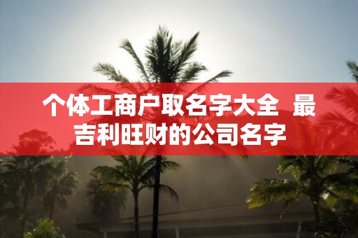个体工商户取名字大全 最吉利旺财的公司名字