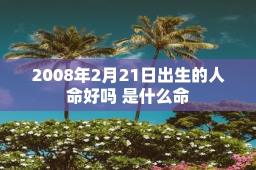2008年2月21日出生的人命好吗 是什么命
