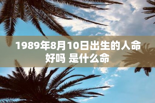 1989年8月10日出生的人命好吗 是什么命