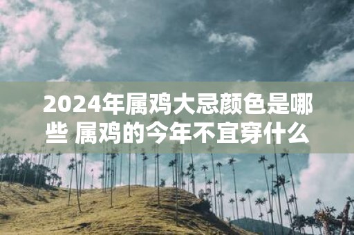 2025年属鸡大忌颜色是哪些 属鸡的今年不宜穿什么颜色