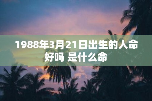 1988年3月21日出生的人命好吗 是什么命