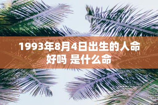 1993年8月4日出生的人命好吗 是什么命