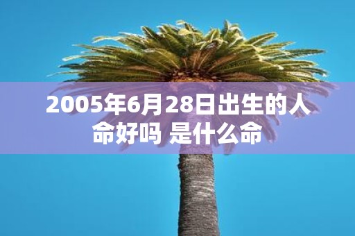 2005年6月28日出生的人命好吗 是什么命