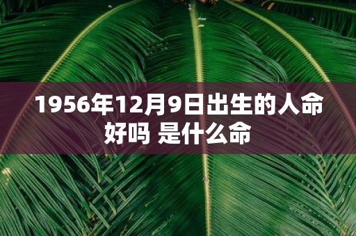 1956年12月9日出生的人命好吗 是什么命