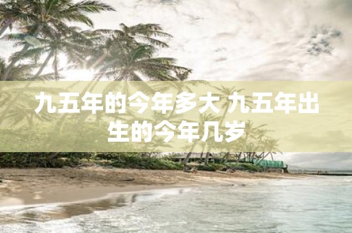 九五年的今年多大 九五年出生的今年几岁