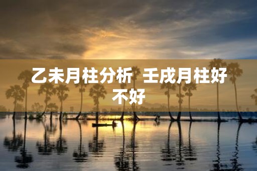 乙未月柱分析 壬戌月柱好不好