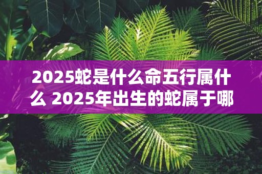 2025蛇是什么命五行属什么 2025年出生的蛇属于哪个五行