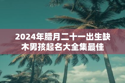2025年腊月二十一出生缺木男孩起名大全集最佳