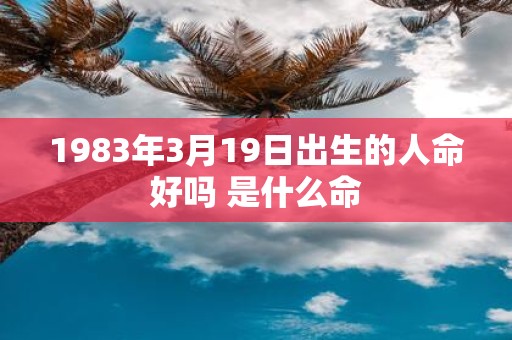 1983年3月19日出生的人命好吗 是什么命