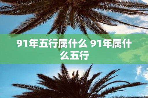 91年五行属什么 91年属什么五行