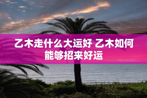 乙木走什么大运好 乙木如何能够招来好运
