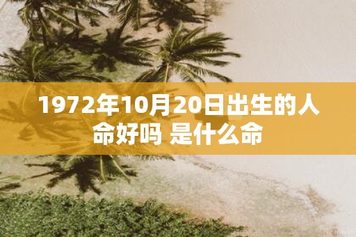 1972年10月20日出生的人命好吗 是什么命
