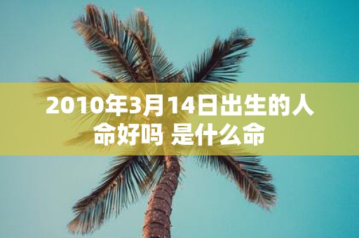 2010年3月14日出生的人命好吗 是什么命