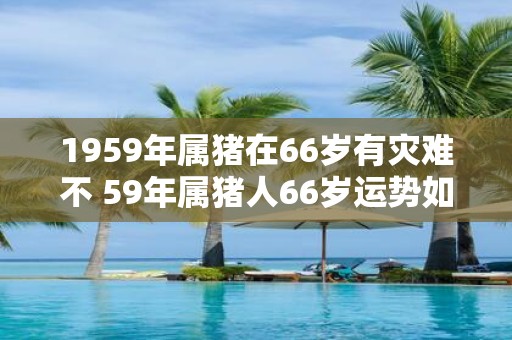 1959年属猪在66岁有灾难不 59年属猪人66岁运势如何