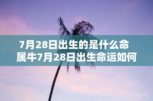 7月28日出生的是什么命 属牛7月28日出生命运如何