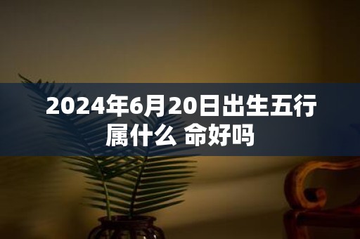 2025年6月20日出生五行属什么 命好吗