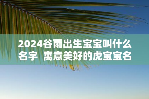 2025谷雨出生宝宝叫什么名字 寓意美好的虎宝宝名字