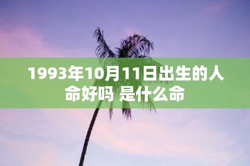 1993年10月11日出生的人命好吗 是什么命