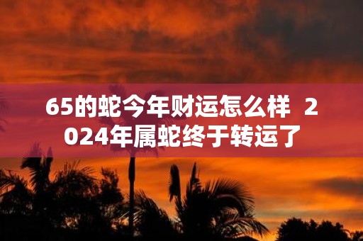 65的蛇今年财运怎么样 2025年属蛇终于转运了