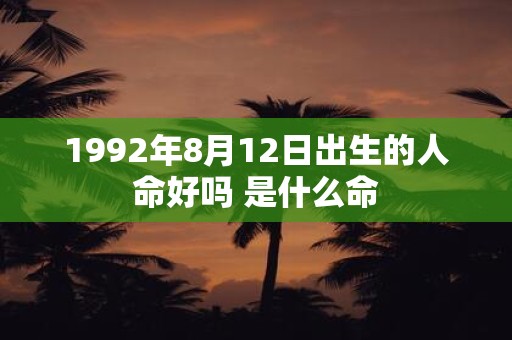 1992年8月12日出生的人命好吗 是什么命