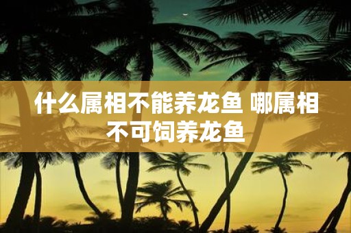 什么属相不能养龙鱼 哪属相不可饲养龙鱼