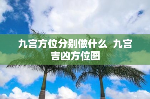 九宫方位分别做什么 九宫吉凶方位图