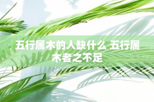 五行属木的人缺什么 五行属木者之不足