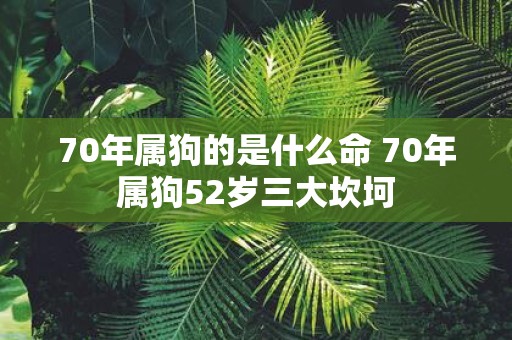 70年属狗的是什么命 70年属狗52岁三大坎坷