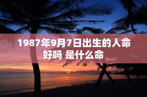 1987年9月7日出生的人命好吗 是什么命