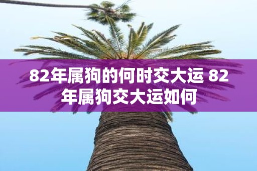 82年属狗的何时交大运 82年属狗交大运如何