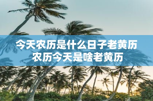 今天农历是什么日子老黄历 农历今天是啥老黄历