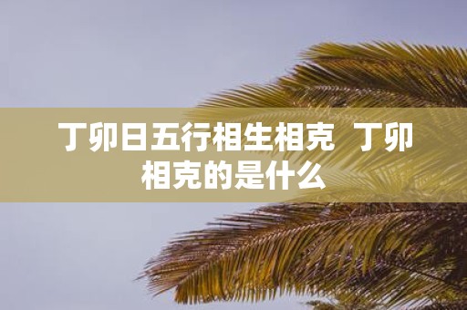丁卯日五行相生相克 丁卯相克的是什么