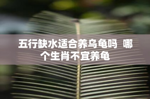 五行缺水适合养乌龟吗 哪个生肖不宜养龟