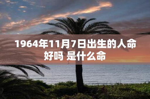 1964年11月7日出生的人命好吗 是什么命