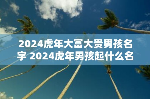 2025虎年大富大贵男孩名字 2025虎年男孩起什么名字好