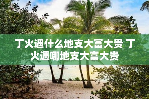 丁火遇什么地支大富大贵 丁火遇哪地支大富大贵