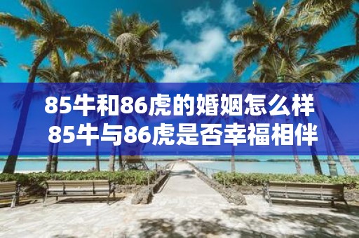 85牛和86虎的婚姻怎么样 85牛与86虎是否幸福相伴