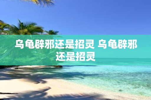 乌龟辟邪还是招灵 乌龟辟邪还是招灵