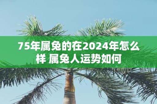 75年属兔的在2025年怎么样 属兔人运势如何