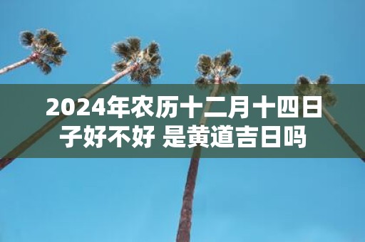 2025年农历十二月十四日子好不好 是黄道吉日吗