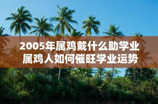 2005年属鸡戴什么助学业 属鸡人如何催旺学业运势