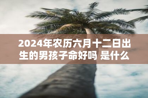 2025年农历六月十二日出生的男孩子命好吗 是什么命运